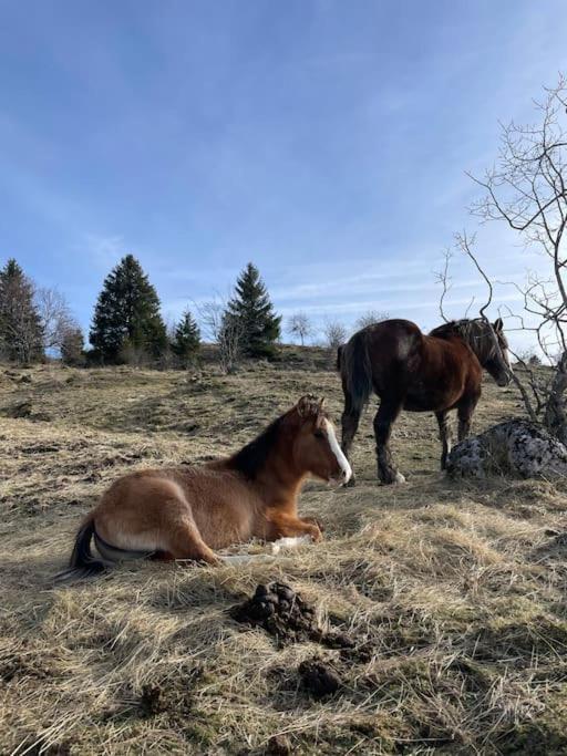 Chic & Champetre Au Coeur Du Haut-Jura Lamoura Zewnętrze zdjęcie