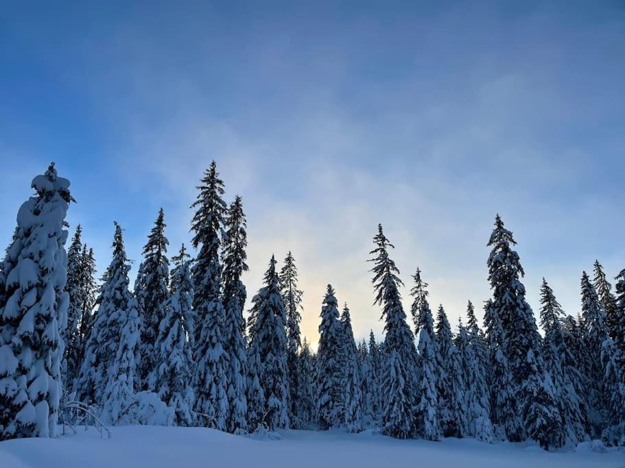 Chic & Champetre Au Coeur Du Haut-Jura Lamoura Zewnętrze zdjęcie
